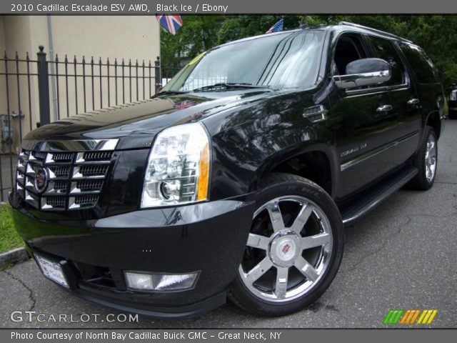 2010 Cadillac Escalade ESV AWD in Black Ice