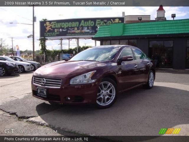 2009 Nissan Maxima 3.5 SV Premium in Tuscan Sun Metallic