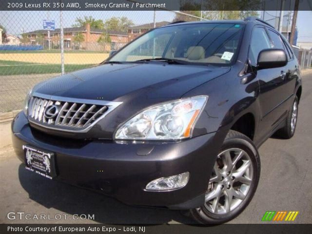 2009 Lexus RX 350 AWD in Smokey Granite