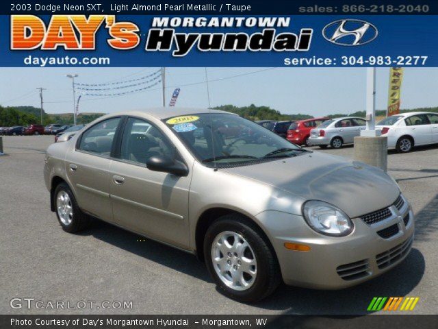 2003 Dodge Neon SXT in Light Almond Pearl Metallic
