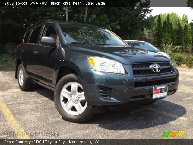 2009 Toyota RAV4 4WD in Black Forest Pearl