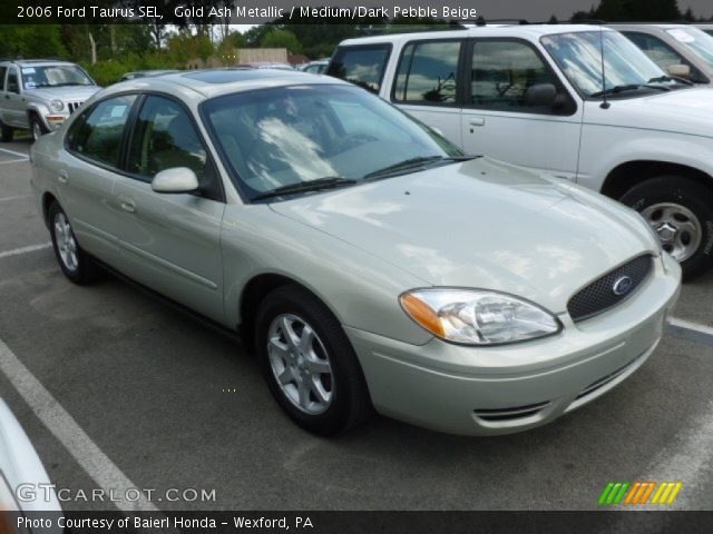 2006 Ford Taurus SEL in Gold Ash Metallic