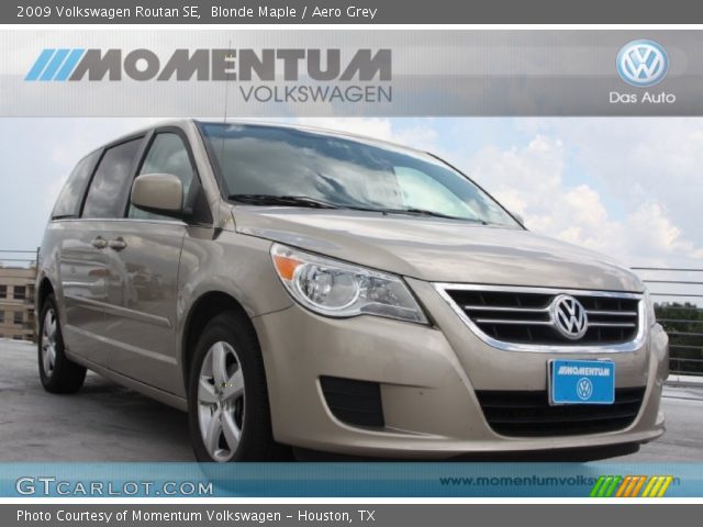 2009 Volkswagen Routan SE in Blonde Maple