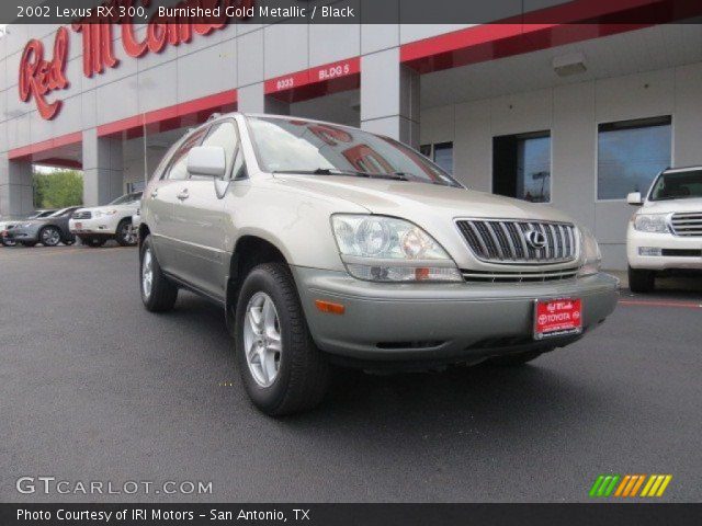 2002 Lexus RX 300 in Burnished Gold Metallic