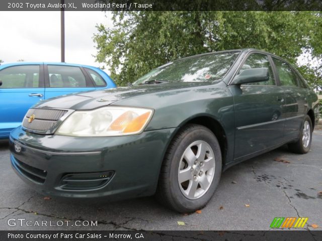 2002 Toyota Avalon XL in Woodland Pearl