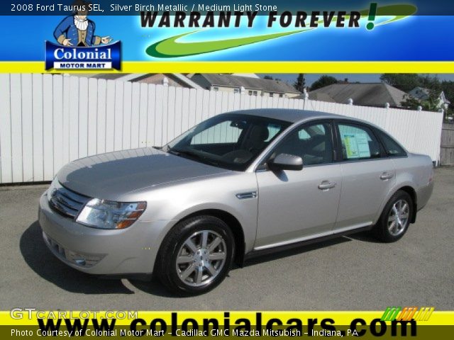 2008 Ford Taurus SEL in Silver Birch Metallic