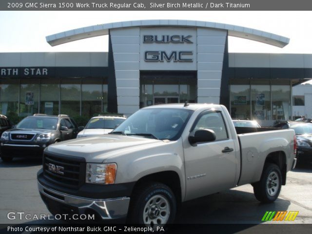 2009 GMC Sierra 1500 Work Truck Regular Cab in Silver Birch Metallic