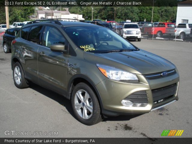 2013 Ford Escape SE 2.0L EcoBoost 4WD in Ginger Ale Metallic