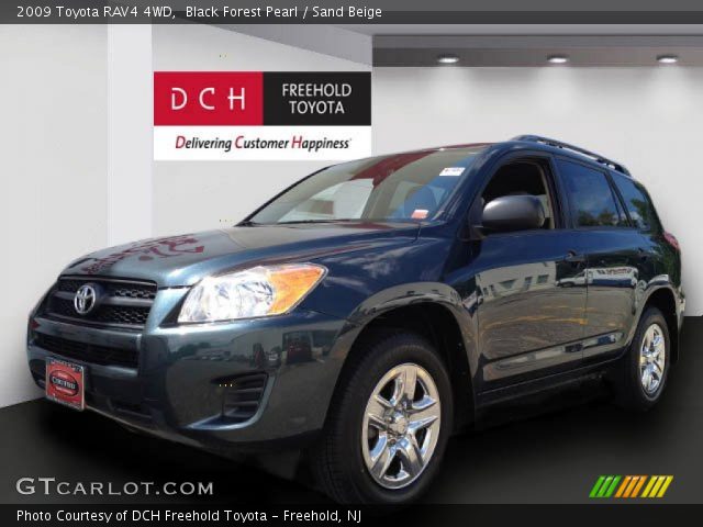 2009 Toyota RAV4 4WD in Black Forest Pearl