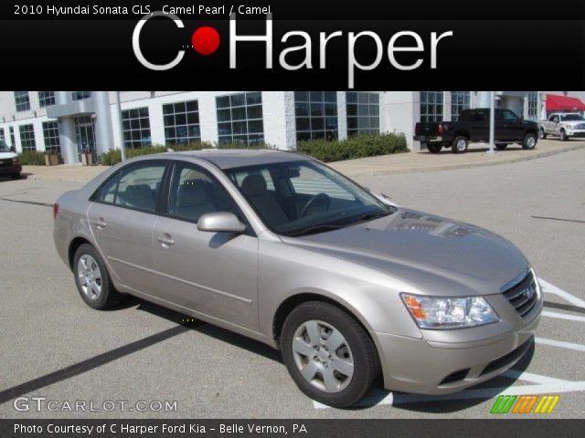 2010 Hyundai Sonata GLS in Camel Pearl