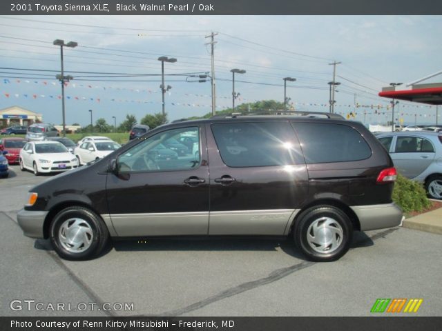 2001 Toyota Sienna XLE in Black Walnut Pearl