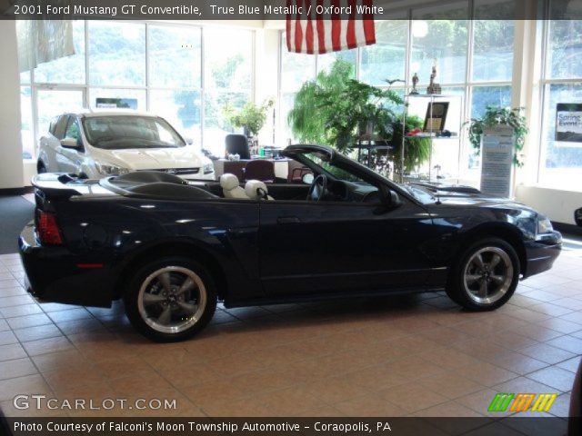 2001 Ford Mustang GT Convertible in True Blue Metallic