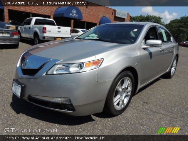 2009 Acura TL 3.5 in Palladium Metallic