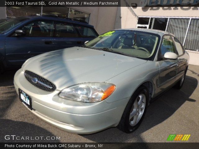 2003 Ford Taurus SES in Gold Ash Metallic
