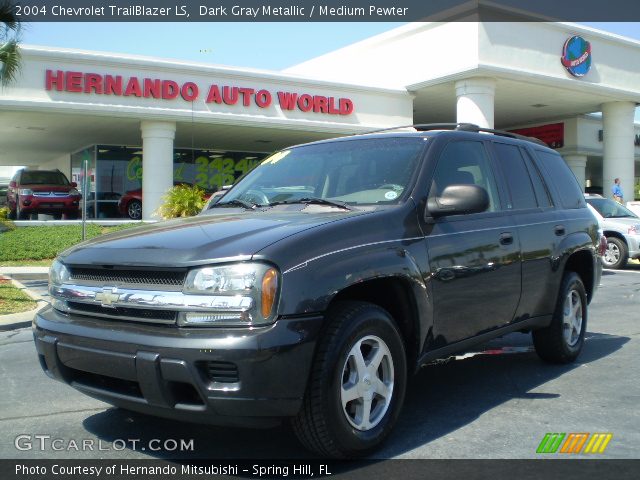 2004 Chevrolet TrailBlazer LS in Dark Gray Metallic