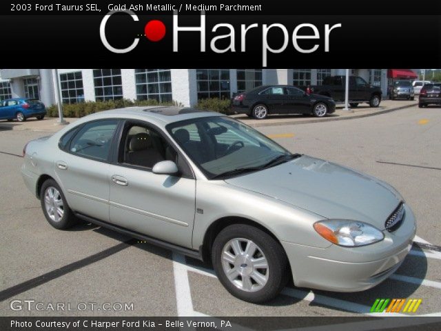 2003 Ford Taurus SEL in Gold Ash Metallic