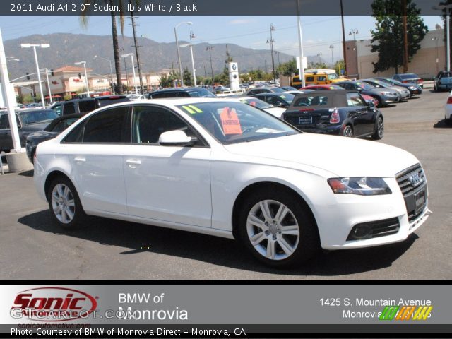 2011 Audi A4 2.0T Sedan in Ibis White