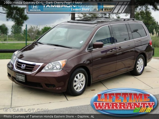 2009 Honda odyssey dark cherry pearl #3