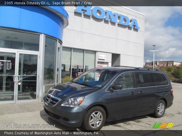 2005 Honda Odyssey EX-L in Sage Brush Pearl