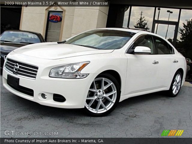 Used white nissan maxima 2009 #6
