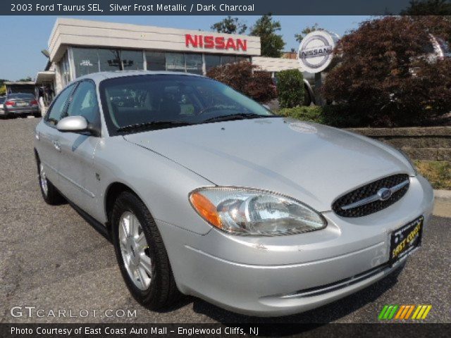 2003 Ford Taurus SEL in Silver Frost Metallic