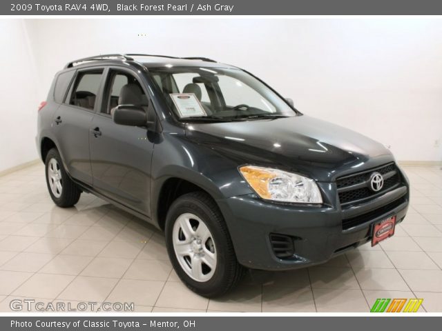 2009 Toyota RAV4 4WD in Black Forest Pearl