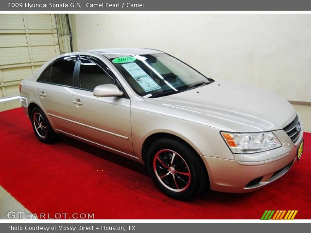2009 Hyundai Sonata GLS in Camel Pearl