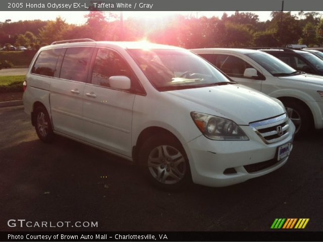 2005 Honda Odyssey EX-L in Taffeta White