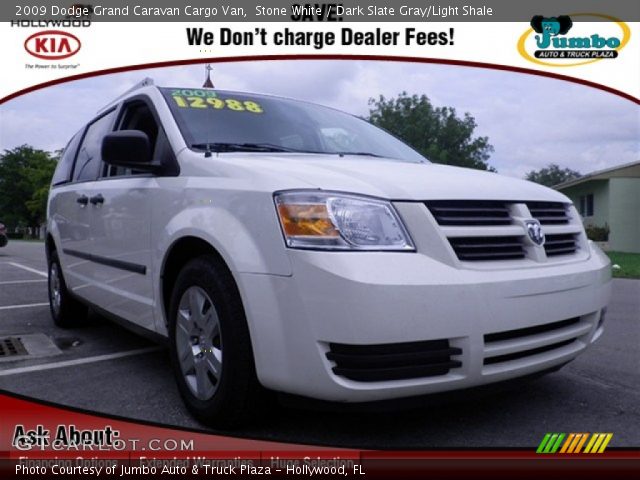 2009 Dodge Grand Caravan Cargo Van in Stone White