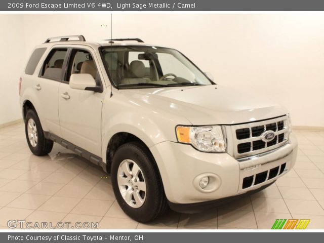2009 Ford Escape Limited V6 4WD in Light Sage Metallic