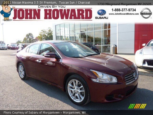 2011 Nissan Maxima 3.5 SV Premium in Tuscan Sun