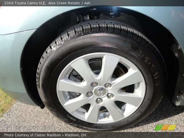 2009 Toyota Camry XLE in Aloe Green Metallic