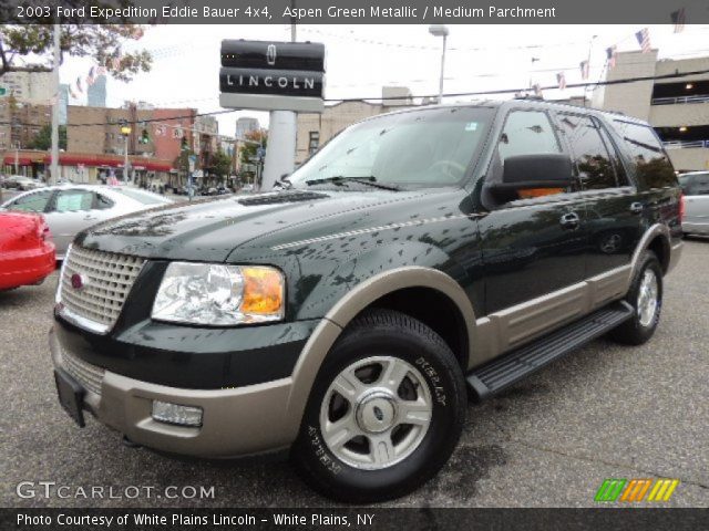 2003 Ford Expedition Eddie Bauer 4x4 in Aspen Green Metallic