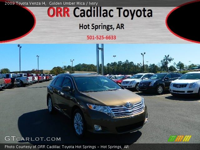 2009 Toyota Venza I4 in Golden Umber Mica