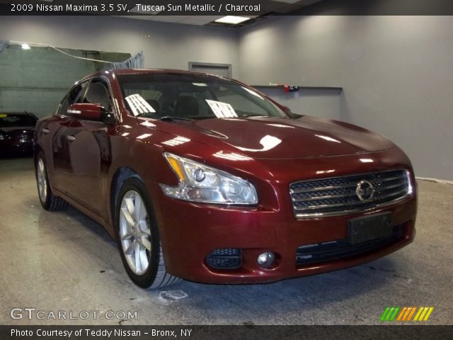 2009 Nissan Maxima 3.5 SV in Tuscan Sun Metallic