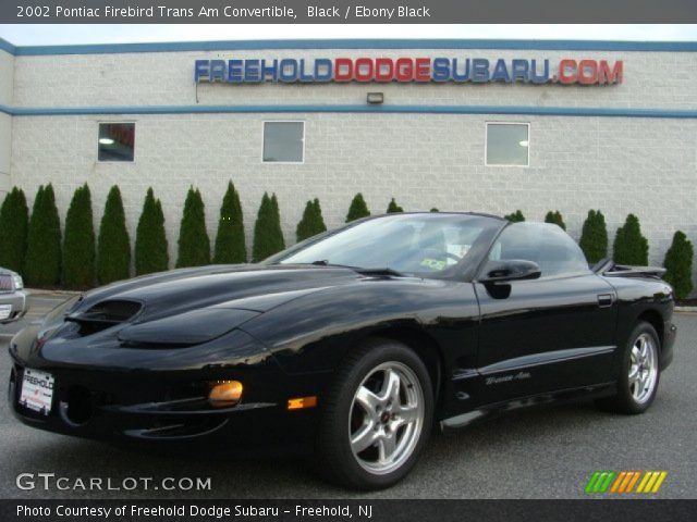 2002 Pontiac Firebird Trans Am Convertible in Black