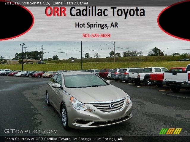 2011 Hyundai Sonata GLS in Camel Pearl