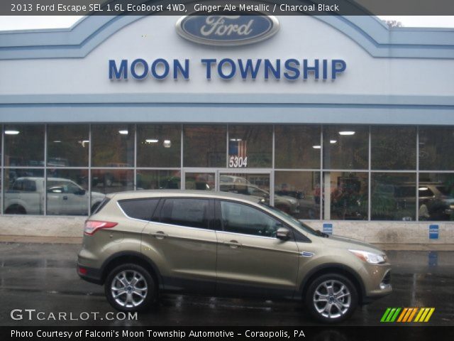 2013 Ford Escape SEL 1.6L EcoBoost 4WD in Ginger Ale Metallic