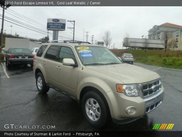2010 Ford Escape Limited V6 in Gold Leaf Metallic