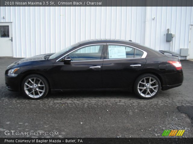 2010 Nissan Maxima 3.5 SV in Crimson Black