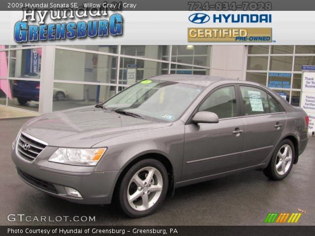 2009 Hyundai Sonata SE in Willow Gray