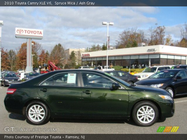 2010 Toyota Camry XLE V6 in Spruce Mica