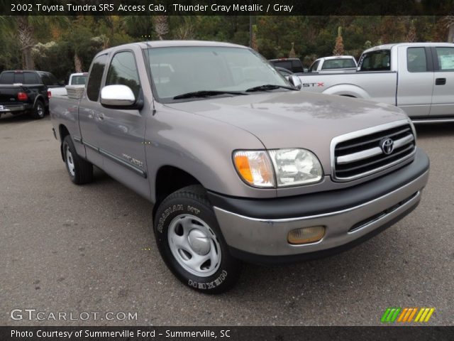 2002 Toyota Tundra SR5 Access Cab in Thunder Gray Metallic