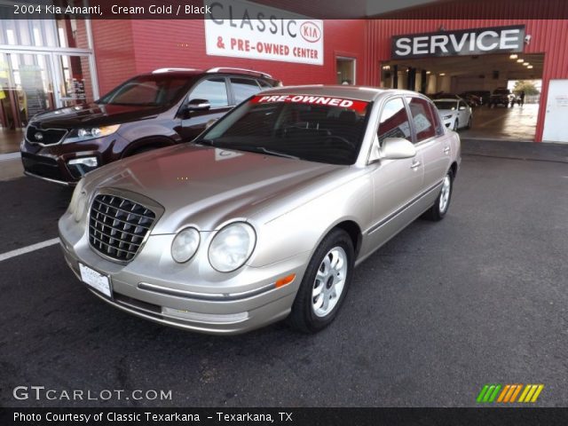 2004 Kia Amanti  in Cream Gold