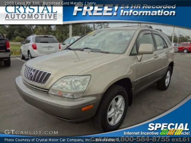 2003 Lexus RX 300 in Burnished Gold Metallic