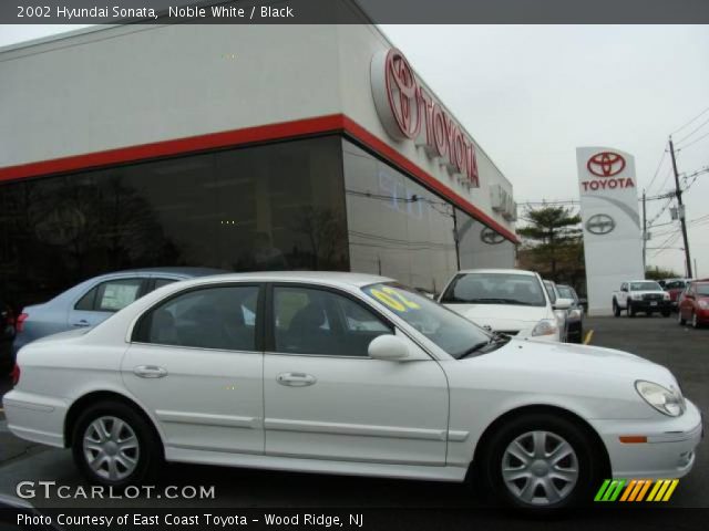 2002 Hyundai Sonata  in Noble White