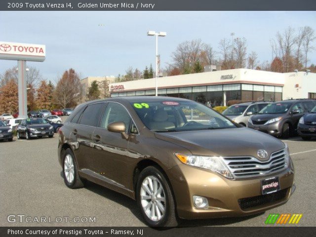 2009 Toyota Venza I4 in Golden Umber Mica