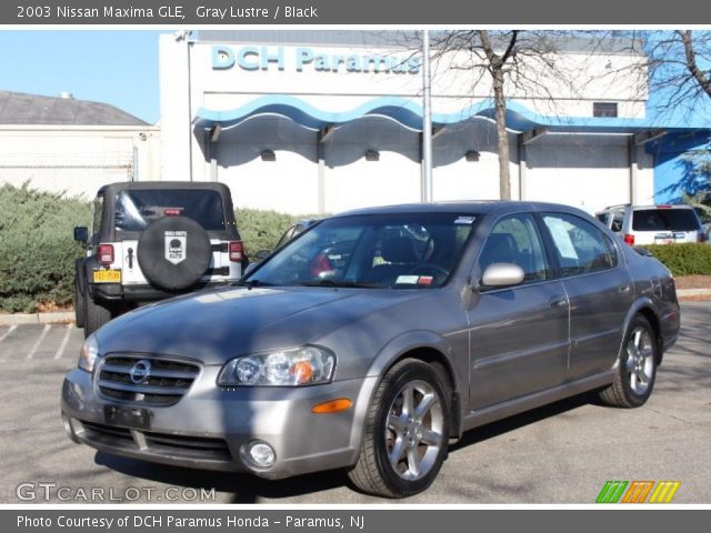 2003 Nissan Maxima GLE in Gray Lustre