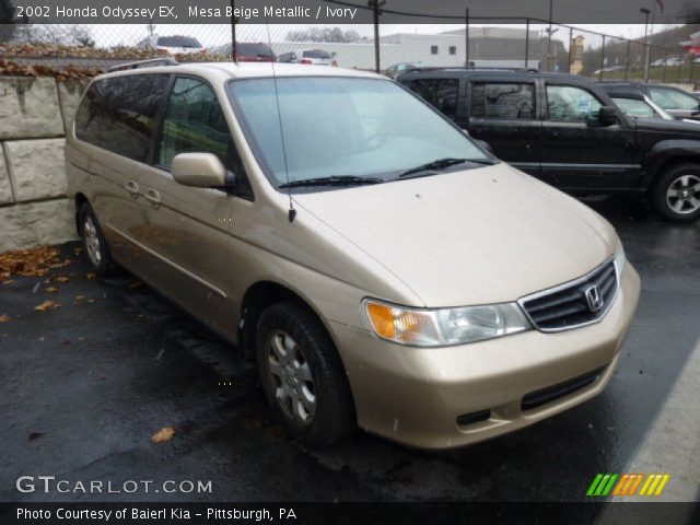 2002 Honda Odyssey EX in Mesa Beige Metallic