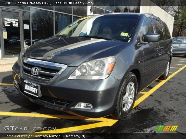 2005 Honda Odyssey EX-L in Sage Brush Pearl
